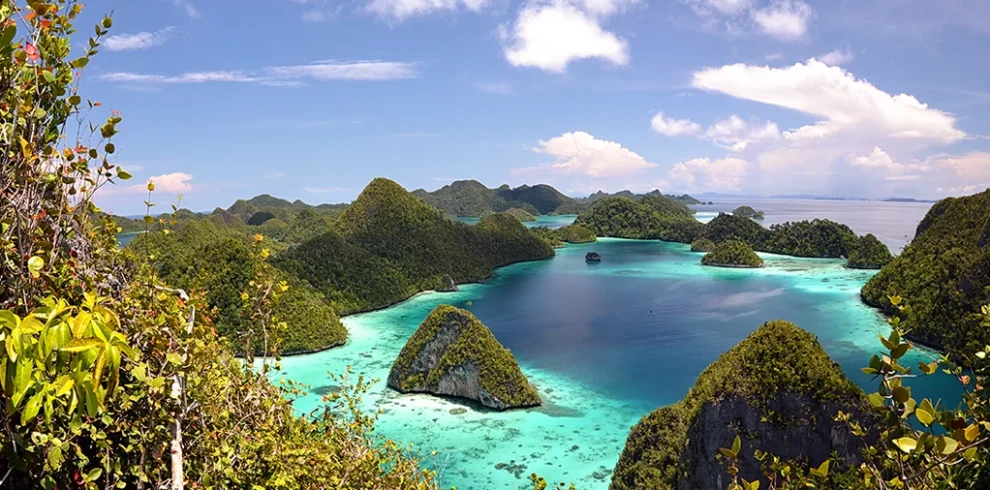 Liveaboard in Raja Ampat Island: Explore stunning seascapes and vibrant marine life aboard our liveaboard trips