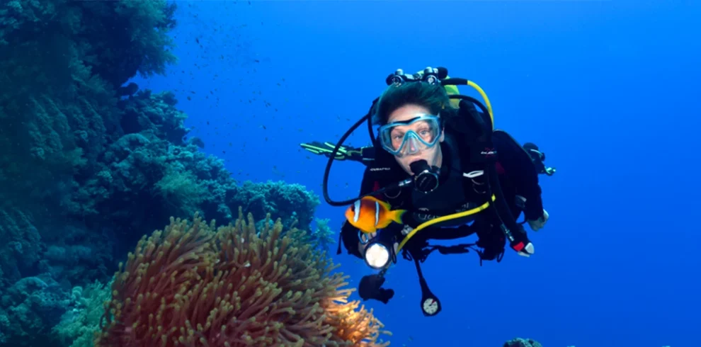 Exploring vibrant underwater life amidst crystal-clear waters