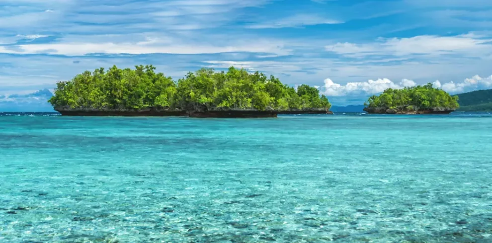 Collage of vibrant underwater scenes capturing the diverse marine life and scenic beauty across Lembeh, Halmahera, and Raja Ampat during our liveaboard expeditions