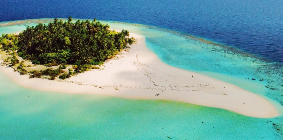 Explore the stunning underwater world of the Maldives with our expert diver and capture unforgettable moments beneath the waves