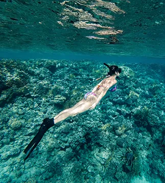 Dune Snorkeler Destinations - Explore the world's best snorkeling spots with Dune