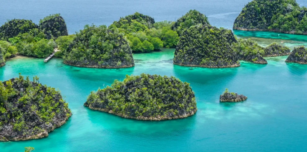 Raja Ampat Liveaboard with Dune Aurora Liveaboard