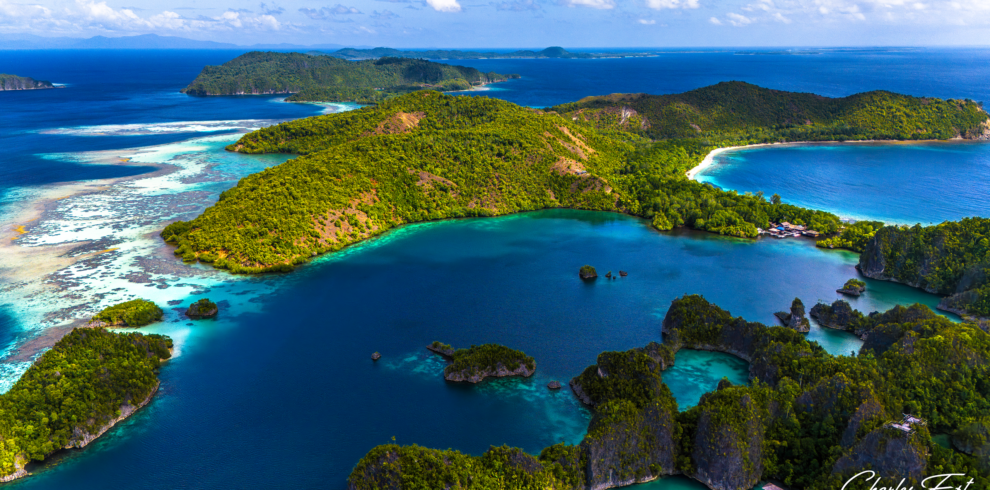 A breathtaking view of Raja Ampat, Indonesia, featuring turquoise waters, lush green islands, and vibrant coral reefs.