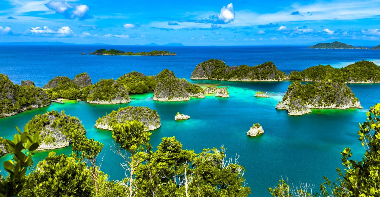 Raja Ampat Liveaboard Adventures for Macro Diving Enthusiasts