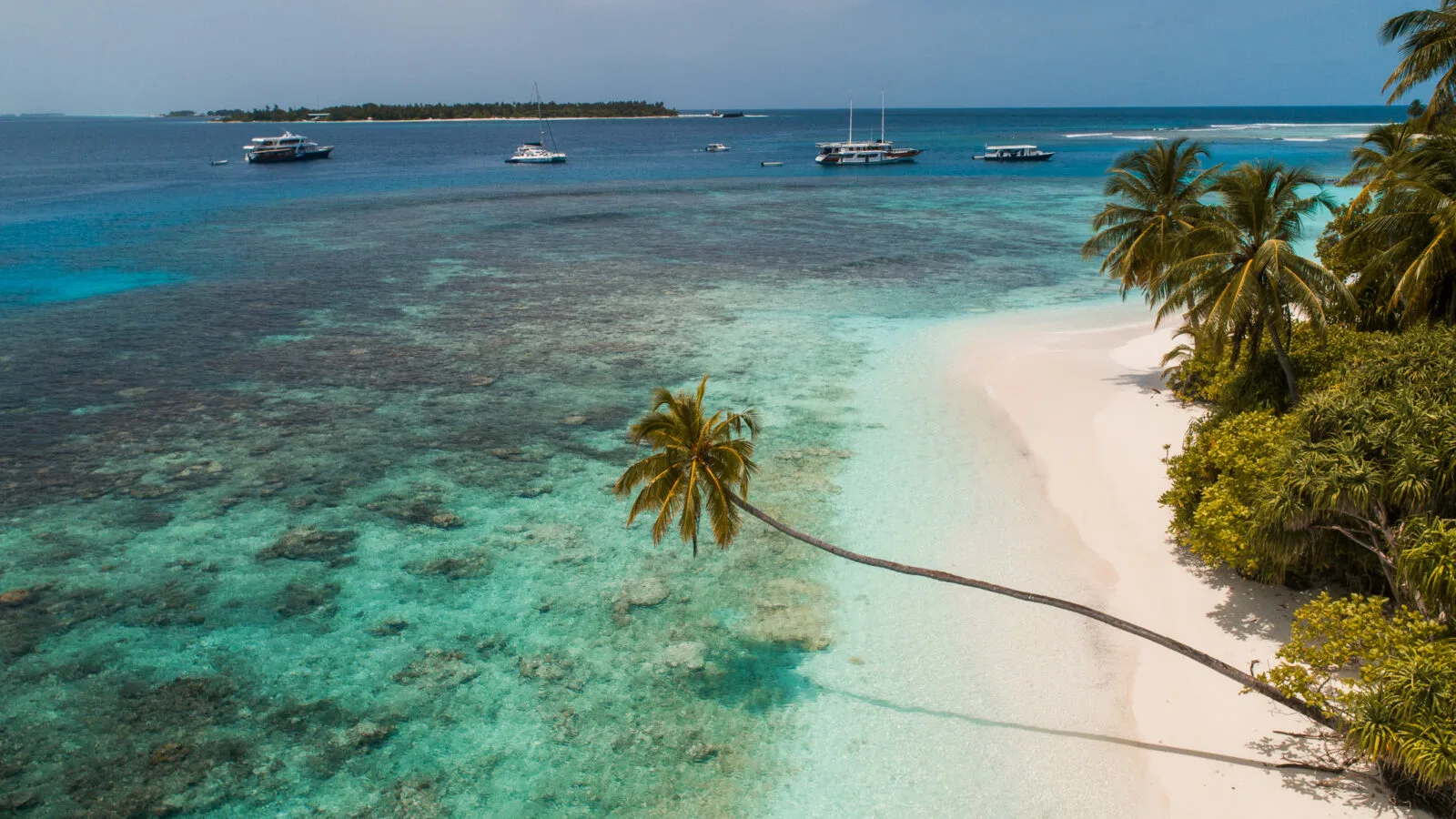 Central Atolls Scuba Diving Liveaboard | Maldives - DUNE Liveaboard