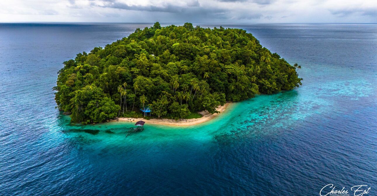 Raja Ampat – Lembeh Strait