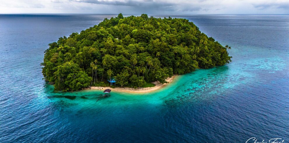 Raja Ampat liveaboard diving