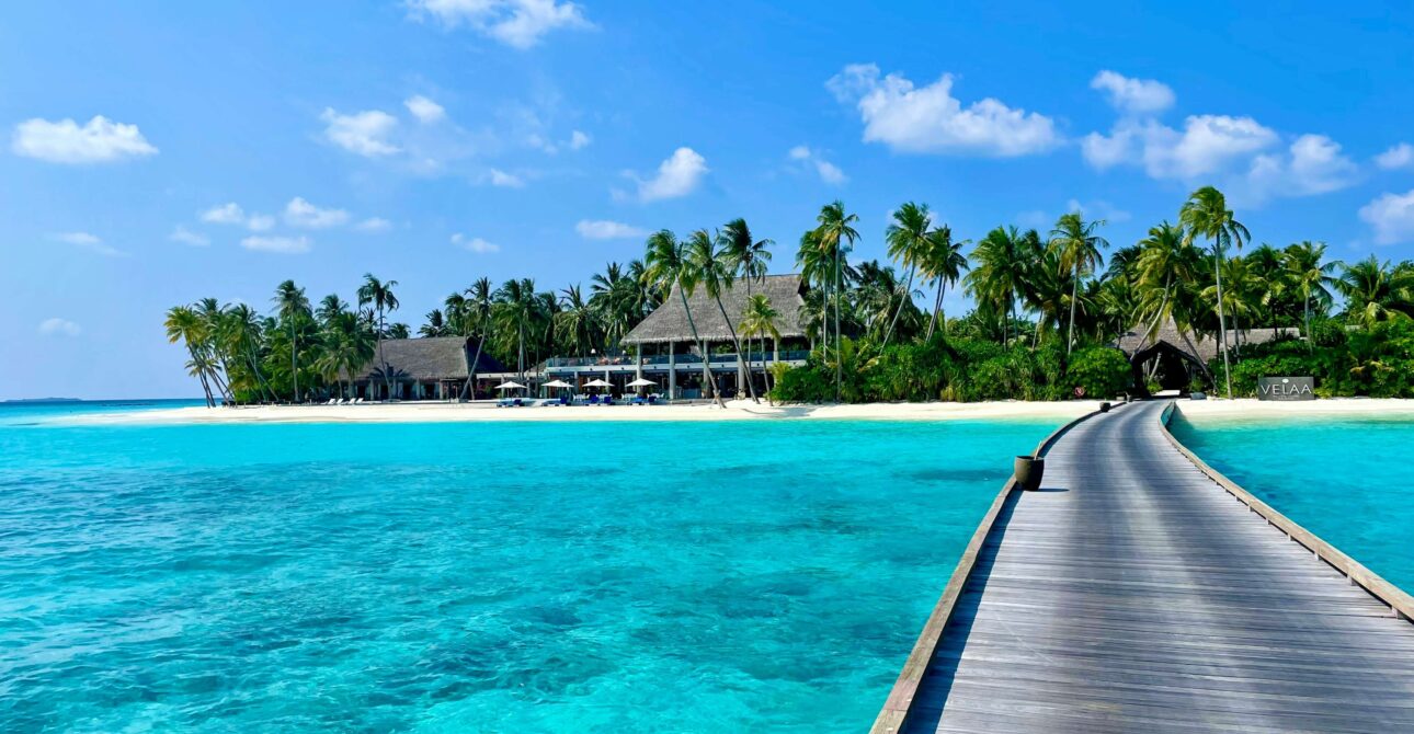 Best Liveaboard in Maldives Expert Guide & Affordable Prices