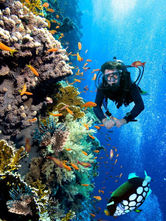 Introducing New Route In Egypt With Diverse Dive Sites!