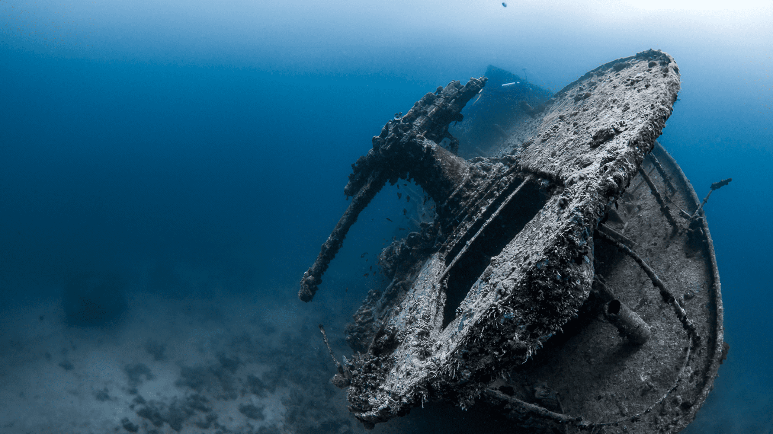 A hauntingly beautiful shipwreck submerged in the depths of the Red Sea, covered in marine life and resting on the sandy seafloor.