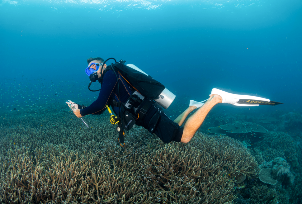 A fully equipped male scuba diver swims horizontally over a coral reef in clear blue water.