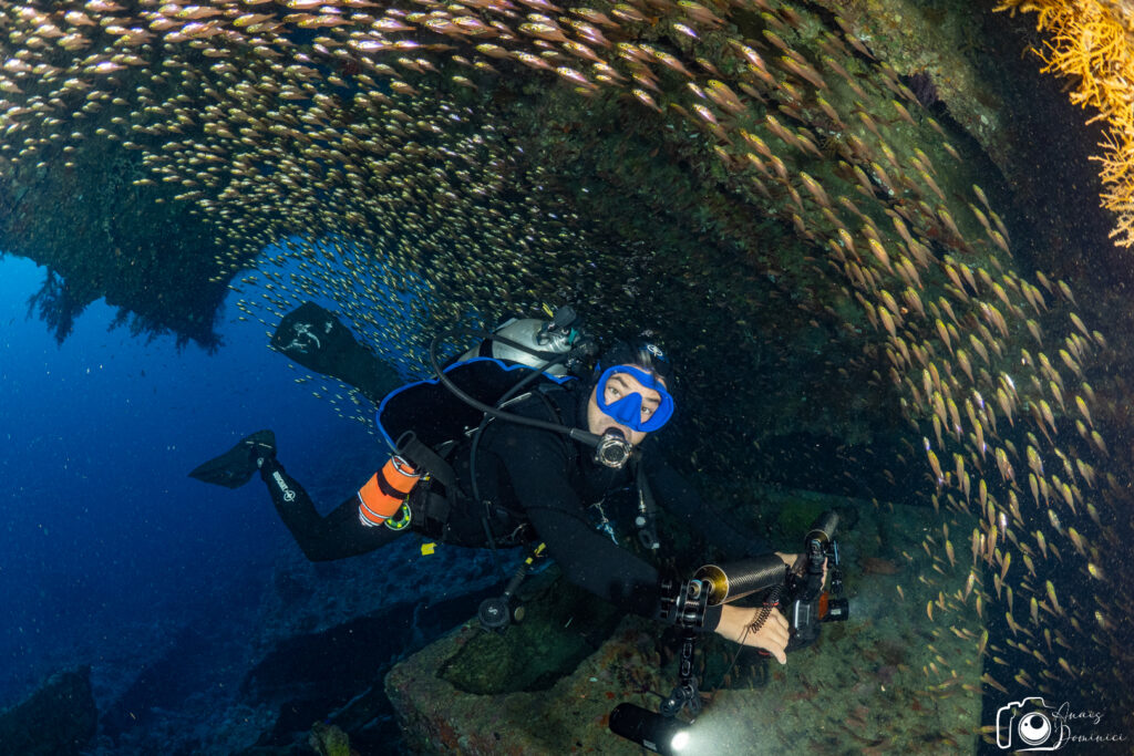 A person diving and surrounded by fish