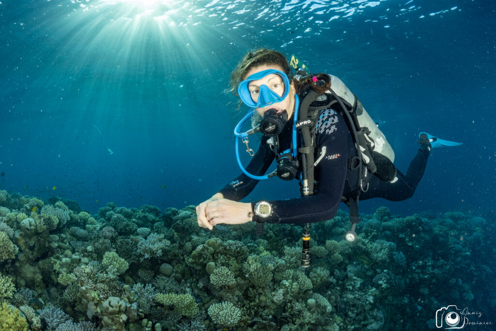 A person dive with safety