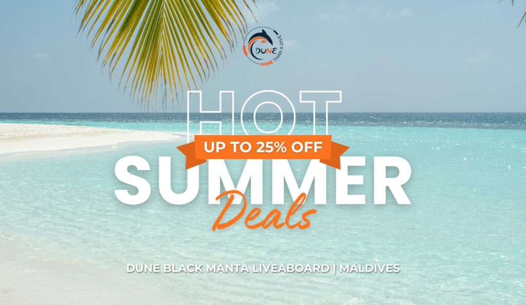 Hot Summer Deals 20% OFF
