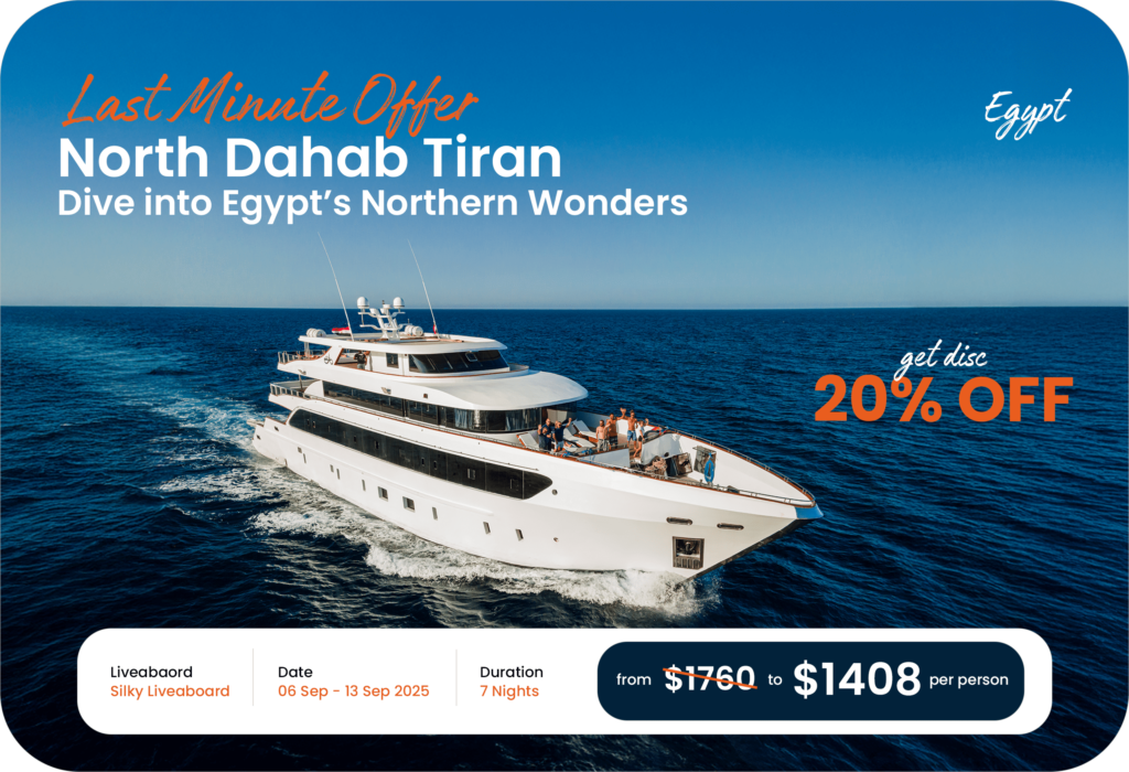 North Dahab Tiran - Egypt Liveaboard Discount