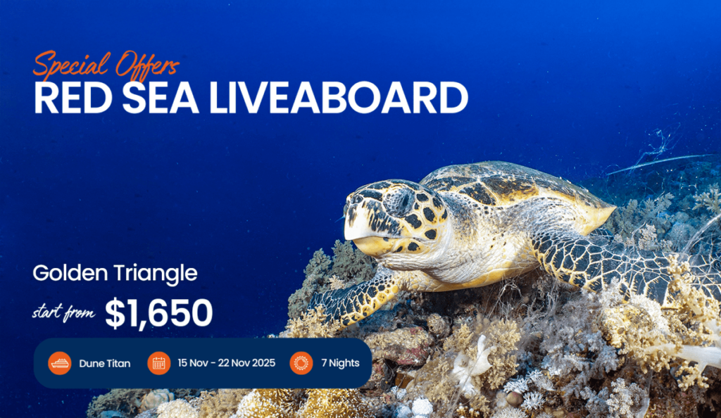 Red Sea Liveaboard Diving (2)