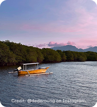 Menjangan Island Dive Site
