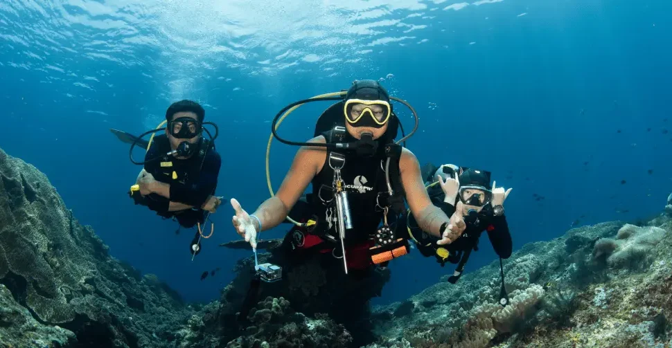 Dune Aurora Liveaboard