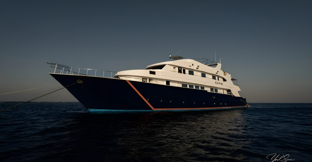 Exploring the Deep South What to Expect on a St John’s Reef Liveaboard