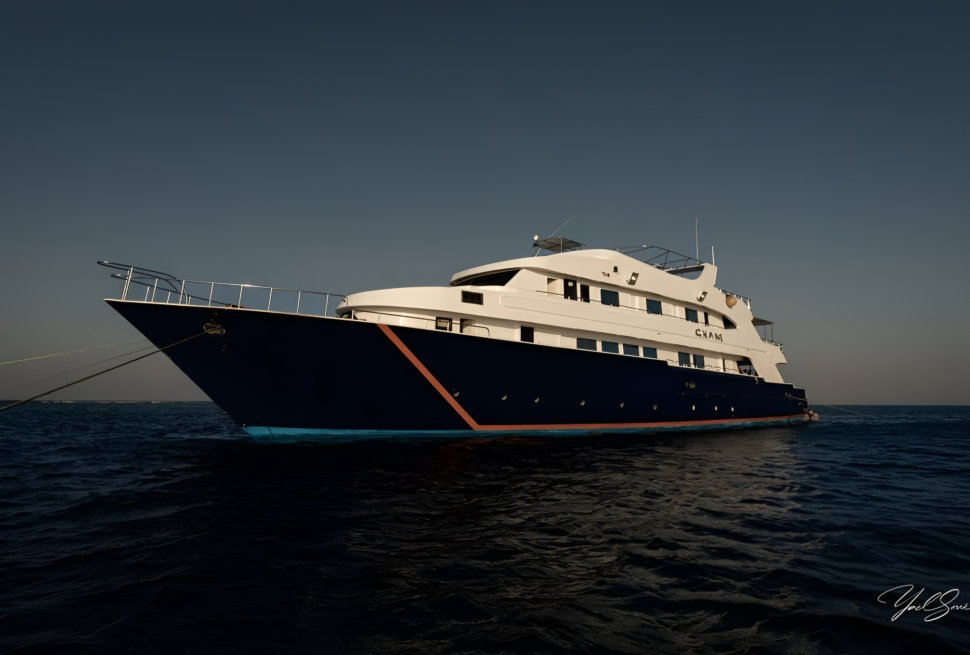 Dune Lewini Liveaboard