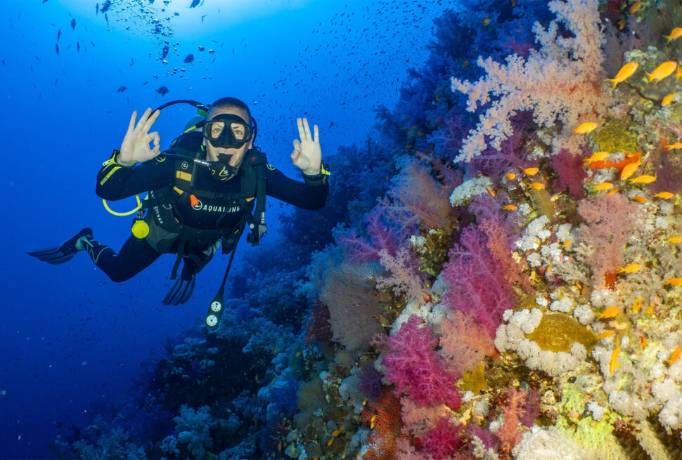 Red Sea Liveaboard with Dune Liveaboard