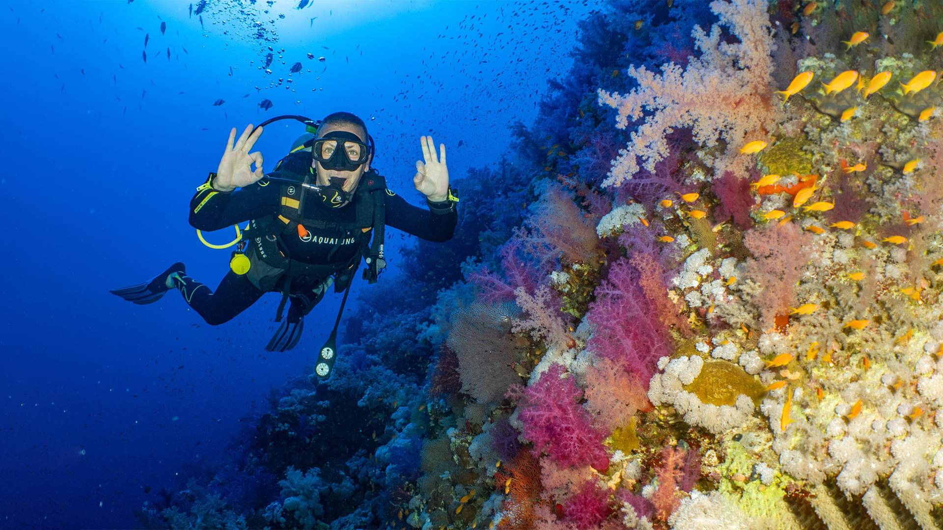 Red Sea Liveaboard with Dune Liveaboard