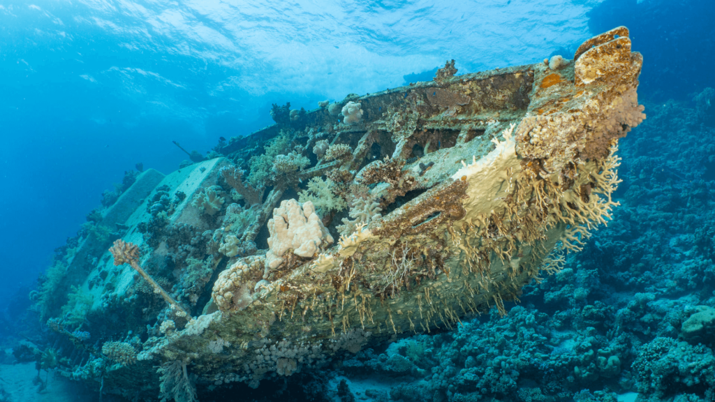 Historical abandoned shipwreck sites