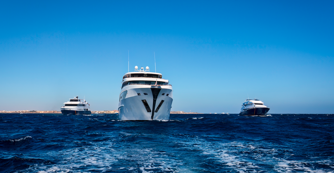 Dune Egypt Liveaboard Diving: How Should You Plan the Perfect Red Sea Trip?