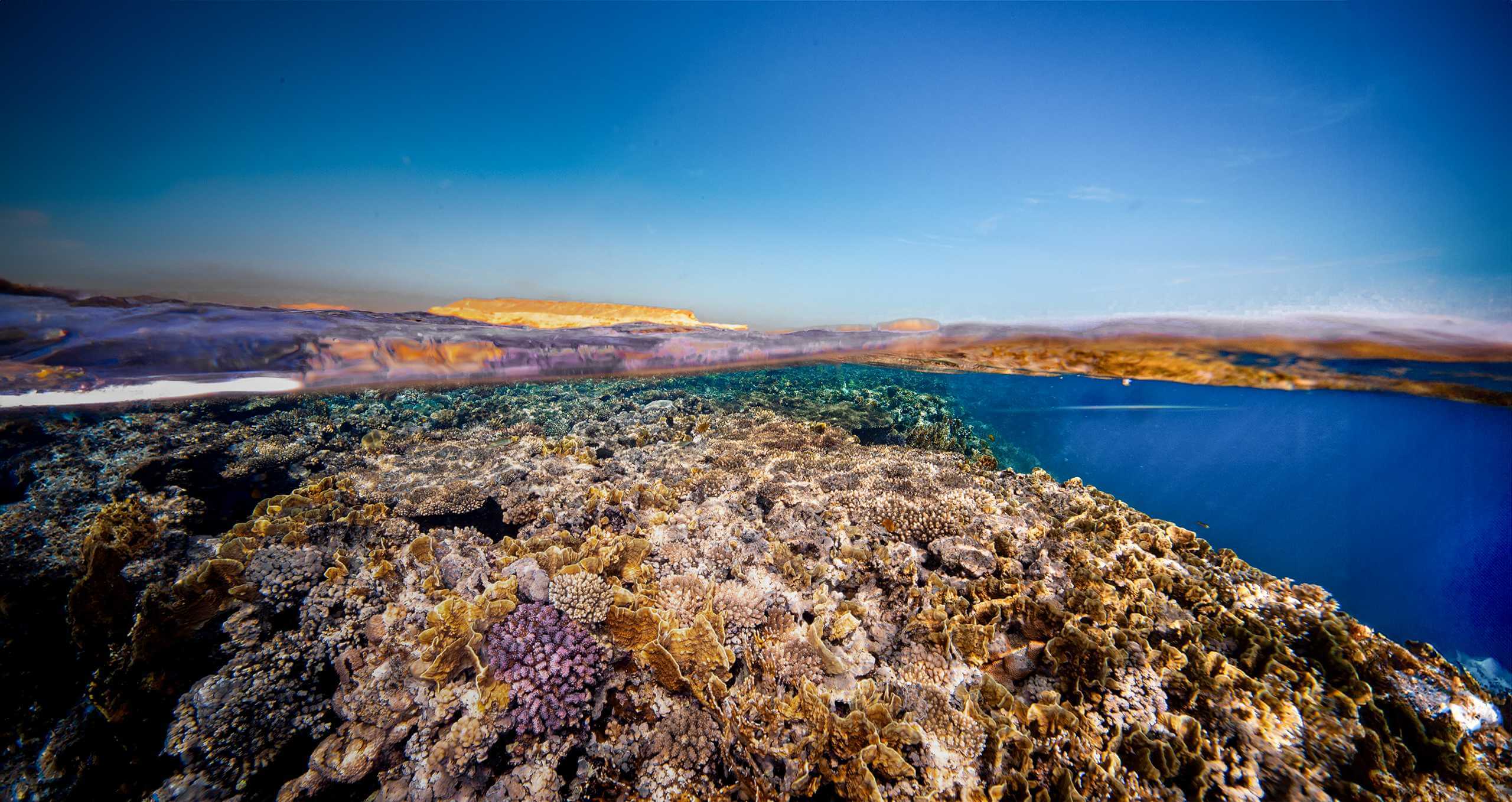 Red Sea Liveaboard Beautiful View