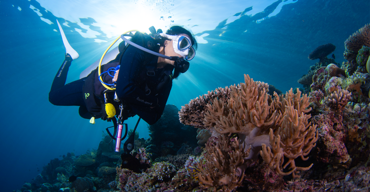The Manuk Island, Banda Sea Diving: The Experience of “Snake Island”