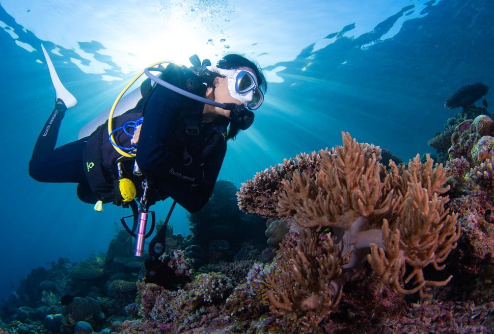 Banda Sea Liveaboard