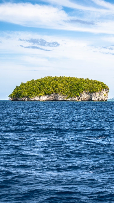 Banda Sea Liveaboard Diving