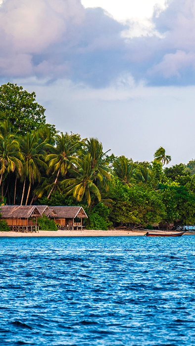Triton Bay Liveaboard