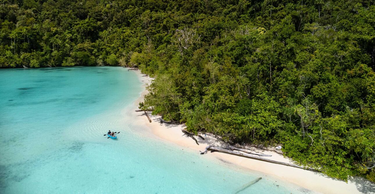 BEST Regenerative Practices on Liveaboards: From Raja Ampat to the Red Sea