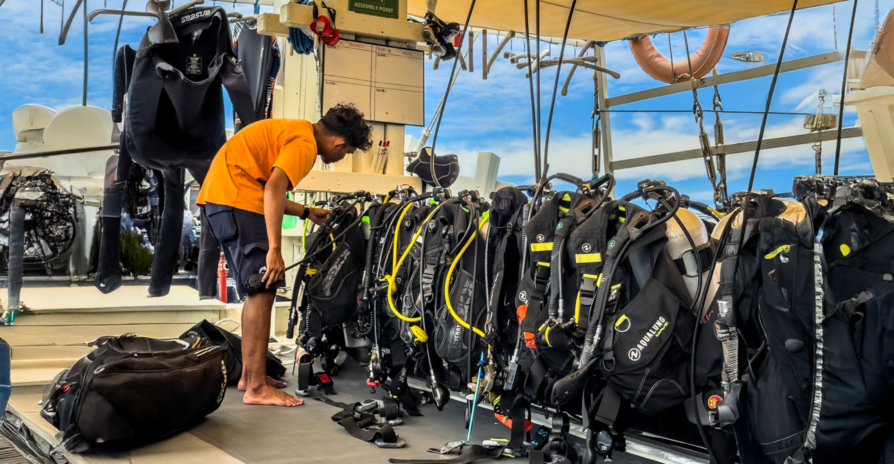 Ultimate Packing List for Your Diving Liveaboard Adventure