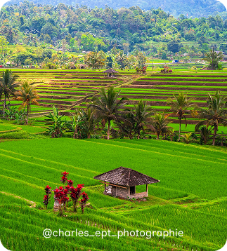 Tabanan with Bali Safari Dune Bali