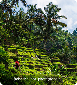 Ubud with Dune Safari Bali