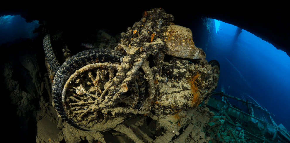 North Tiran Liveaboard in Egypt with Dune Longara Liveaboard