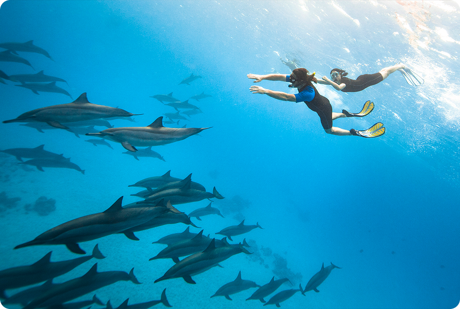 Snorkeler Friendly - DUNE Longara