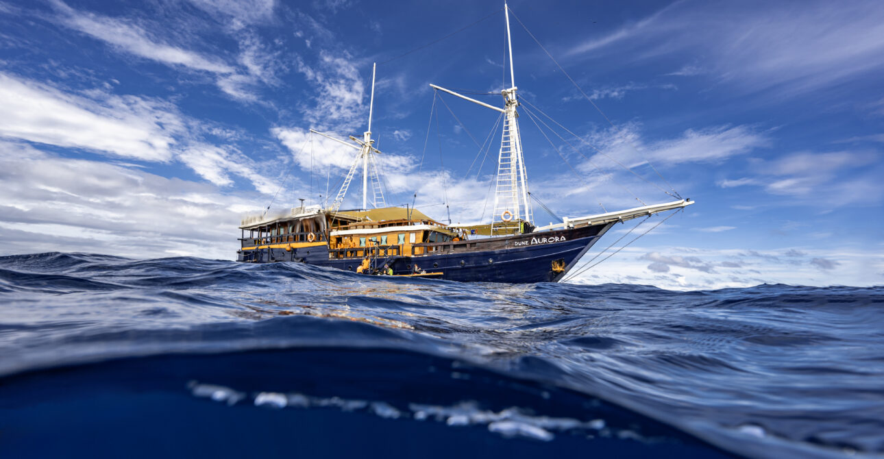 Island Hopping in Style: Why a Liveaboard is the Only Way to See Raja Ampat