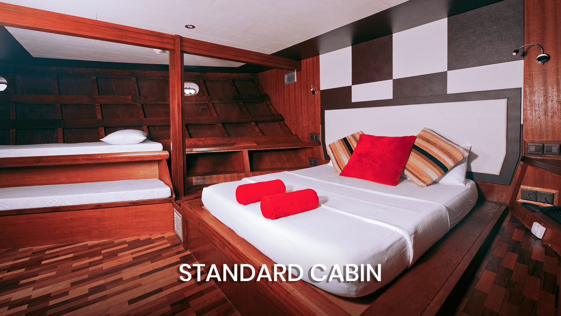 STANDARD CABIN THEIA