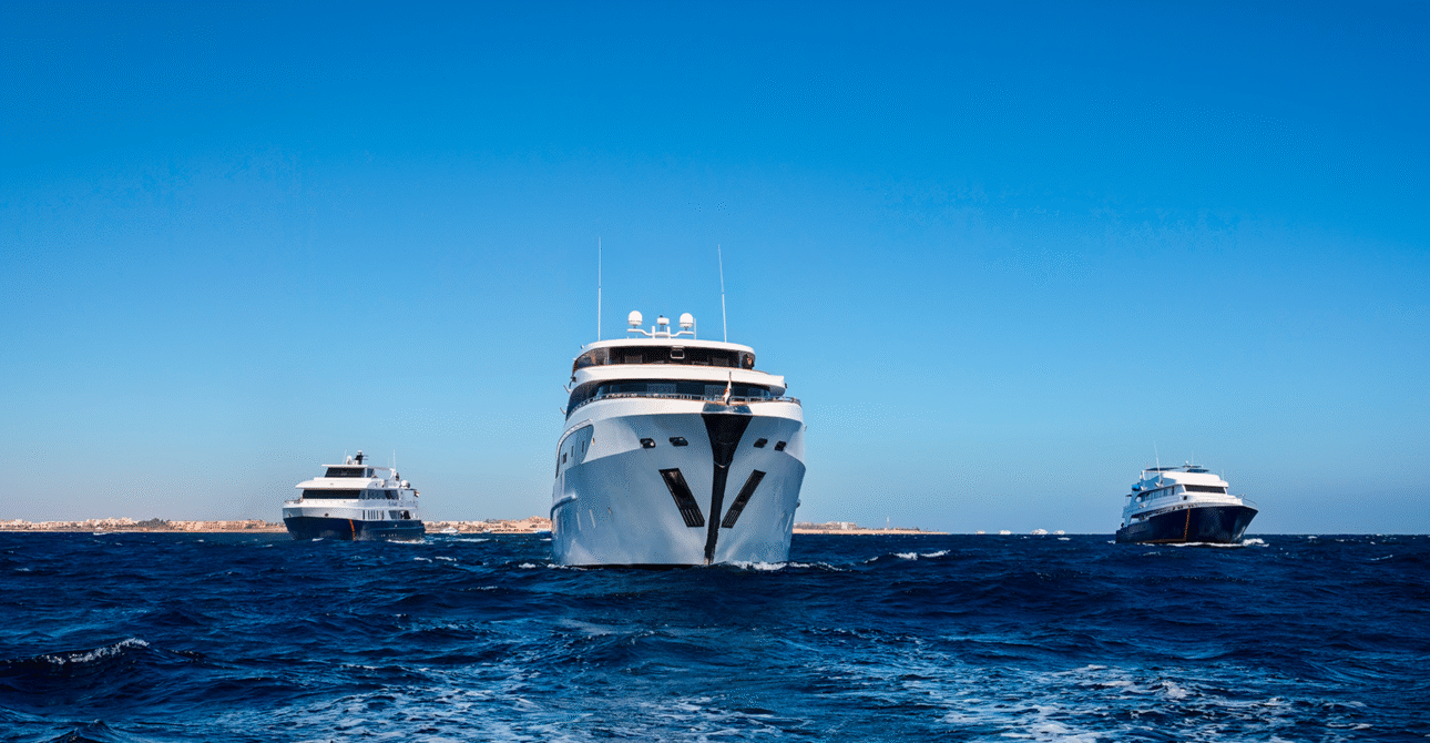 Beyond Asia: How to Celebrate Chinese New Year on Egypt’s Red Sea Liveaboard