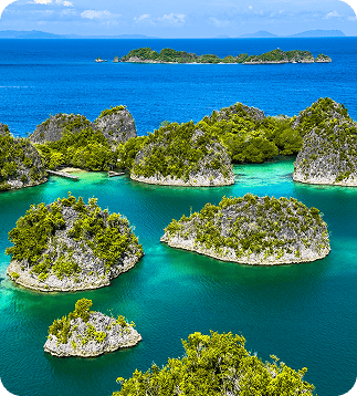 raja-ampat-liveaboard-with-dune-compressed