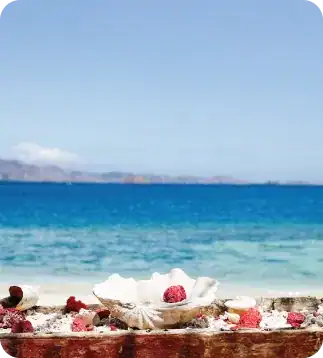 All Discount Special Offer: Explore our exclusive discount offers on all liveaboard trips. Don't miss out on these amazing deals to save on your next adventure!