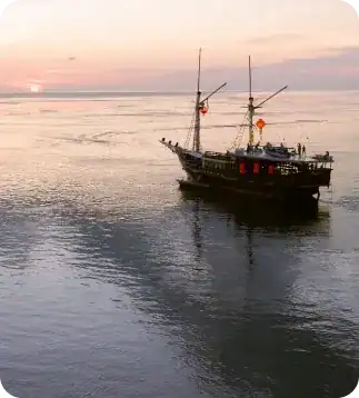 New Year in Paradise: Ring in the new year surrounded by the breathtaking beauty of paradise. Join us for an unforgettable celebration amidst pristine waters and stunning landscapes.