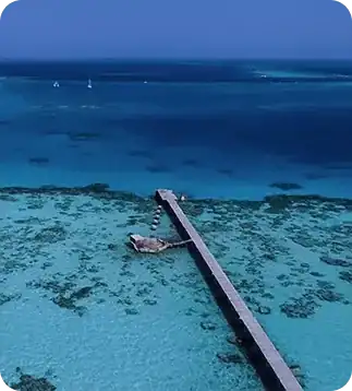 Egypt Special Offer: Discover our exclusive deals for liveaboard trips in Egypt. Take advantage of this special offer and embark on an unforgettable diving adventure in the Red Sea.