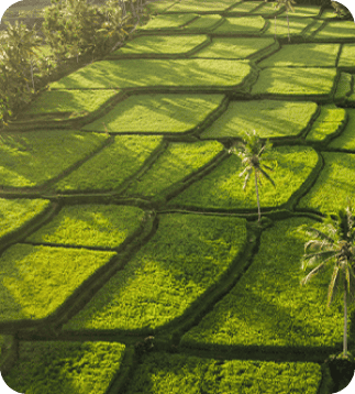 land-tour-cover-compressed