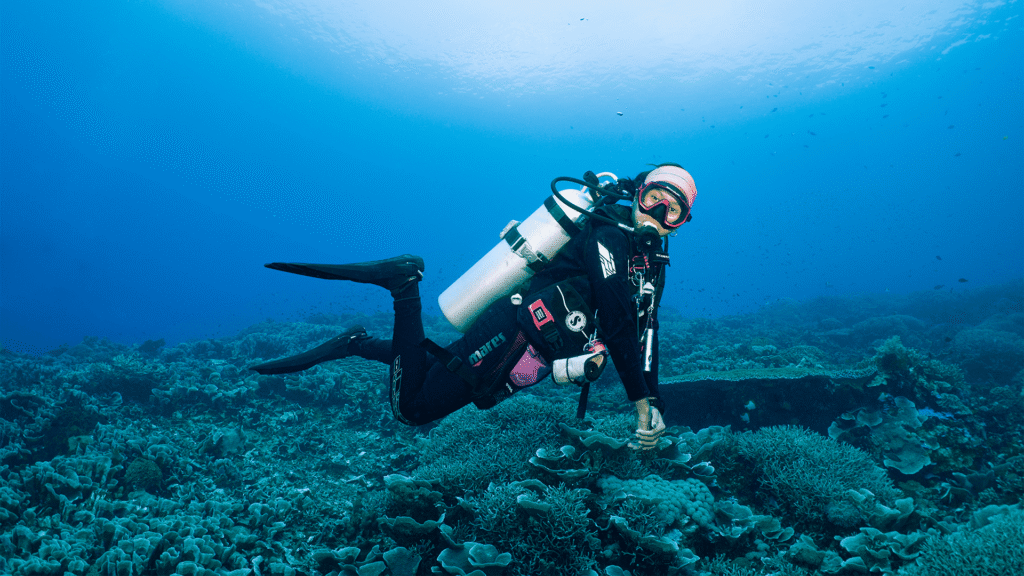 Dive and Discover more Underwater Beauty of Banda Sea