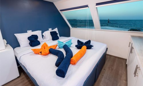 Premium Cabin Dune Titan