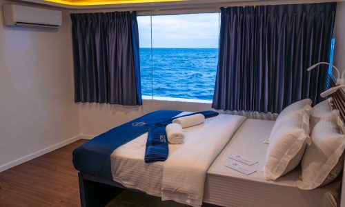 Premium Cabin Main Deck Black Manta Liveaboard